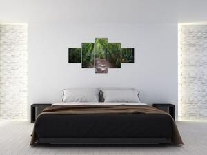 Obraz - Promienie słońca w dżungli (125x70 cm)