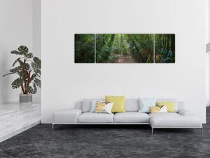 Obraz - Promienie słońca w dżungli (170x50 cm)