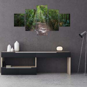 Obraz - Promienie słońca w dżungli (125x70 cm)