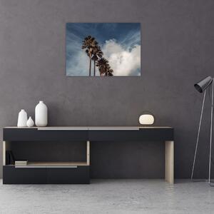 Obraz - Palmowy dramat (70x50 cm)