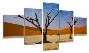 Obraz - Dolina Śmierci (125x70 cm)