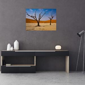 Obraz - Dolina Śmierci (70x50 cm)