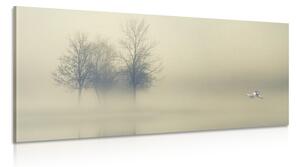 Obraz drzewa we mgle