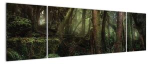 Obraz - Tajemniczy las (170x50 cm)