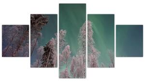 Obraz zorzy polarnej nad zamarzniętymi drzewami (125x70 cm)