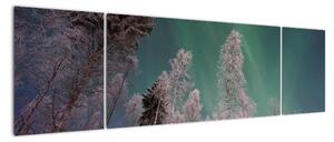 Obraz zorzy polarnej nad zamarzniętymi drzewami (170x50 cm)