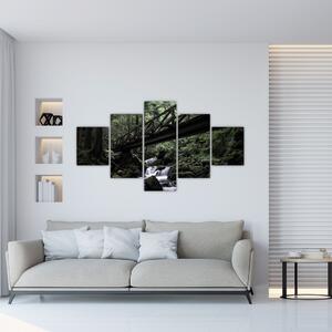 Obraz z czarnego lasu (125x70 cm)