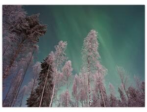 Obraz zorzy polarnej nad zamarzniętymi drzewami (70x50 cm)
