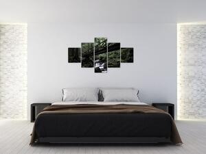 Obraz z czarnego lasu (125x70 cm)
