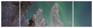 Obraz zorzy polarnej nad zamarzniętymi drzewami (170x50 cm)