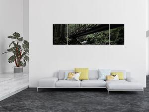 Obraz z czarnego lasu (170x50 cm)