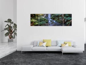 Obraz australijskiego lasu deszczowego (170x50 cm)