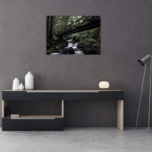 Obraz z czarnego lasu (70x50 cm)