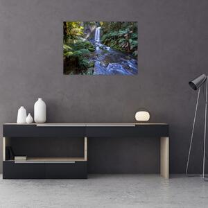 Obraz australijskiego lasu deszczowego (70x50 cm)
