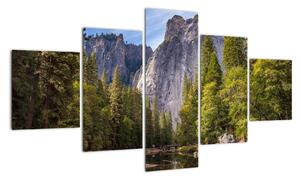 Obraz - Pod Yosemite Rock (125x70 cm)