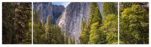 Obraz - Pod Yosemite Rock (170x50 cm)