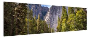 Obraz - Pod Yosemite Rock (170x50 cm)