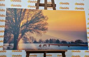Obraz konie w śnieżnym krajobrazie