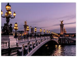 Obraz - Most Aleksandra III. w Paryżu (70x50 cm)
