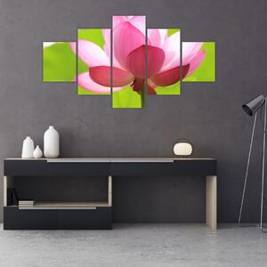 Obraz kwiatu lotosu (125x70 cm)
