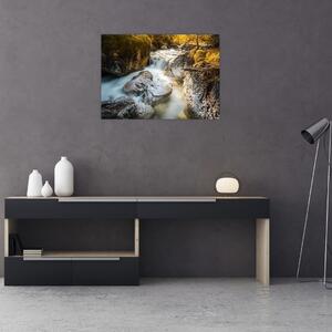 Obraz - Strumień leśny (70x50 cm)