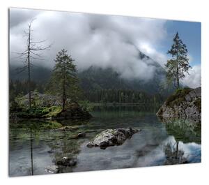 Obraz drzew w jeziorze (70x50 cm)