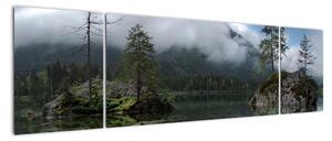 Obraz drzew w jeziorze (170x50 cm)