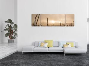 Obraz - Nagie drzewa (170x50 cm)