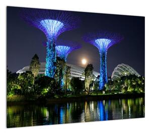 Obraz przedstawiający pełnię księżyca w ogrodach Singapuru (70x50 cm)