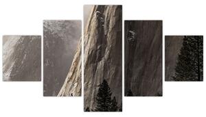 Zdjęcie z Parku Narodowego Yosemite Valley, USA (125x70 cm)