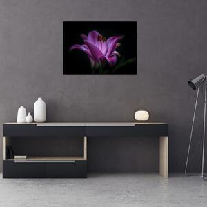 Obraz lilii (70x50 cm)