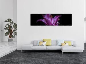 Obraz lilii (170x50 cm)