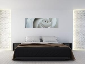 Obraz - Biała róża (170x50 cm)