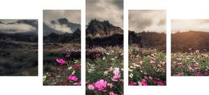 5-częściowy obraz łąka kwitnących kwiatów