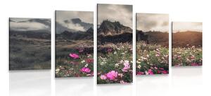 5-częściowy obraz łąka kwitnących kwiatów