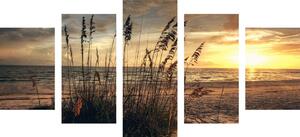5-częściowy obraz zachód słońca na plaży