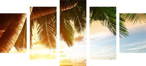 5-częściowy obraz wschód słońca na karaibskiej plaży