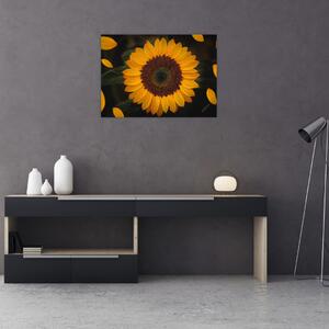Obraz - Słonecznik i płatki kwiatów (70x50 cm)