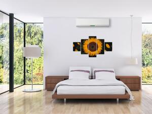 Obraz - Słonecznik i płatki kwiatów (125x70 cm)