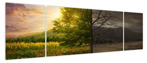 Obraz - Cykl życia (170x50 cm)