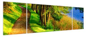 Obraz szlaku wzdłuż wody (170x50 cm)