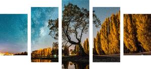 5-częściowy obraz drzewo pod rozgwieżdżonym niebem
