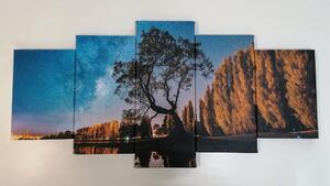 5-częściowy obraz drzewo pod rozgwieżdżonym niebem