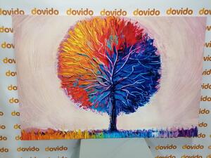 Obraz kolorowe akwarelowe drzewo
