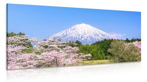 Obraz góra Fuji