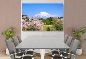 Obraz wulkan Fuji