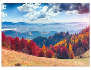 Obraz na szkle kolorowego jesiennego krajobrazu (70x50 cm)