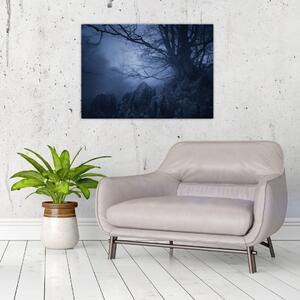 Obraz na szkle ciemnego lasu (70x50 cm)