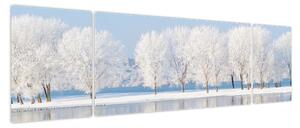 Obraz zimowego krajobrazu (170x50 cm)