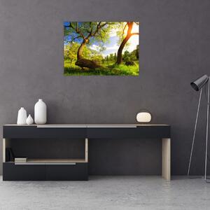Obraz na szkle wiosennej łąki (70x50 cm)